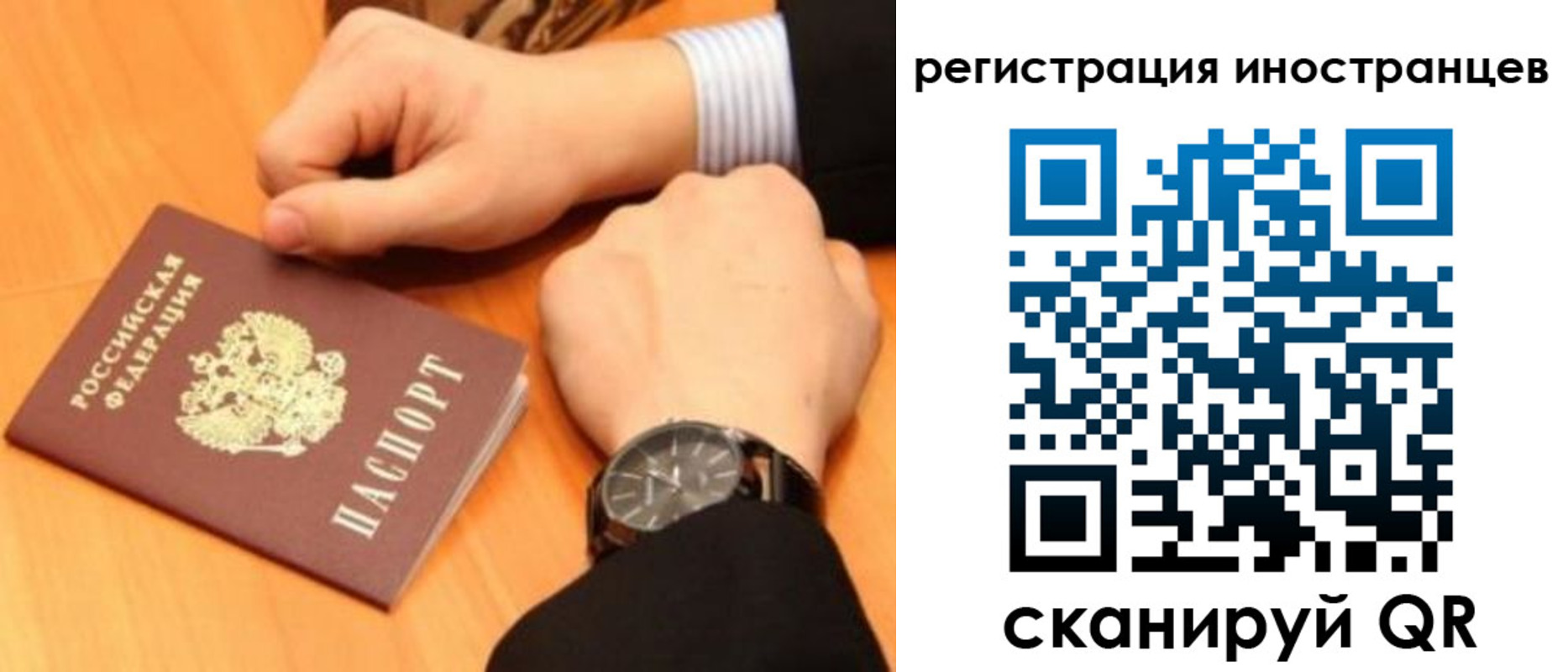прописка гарантия в Северске